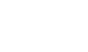 logo white