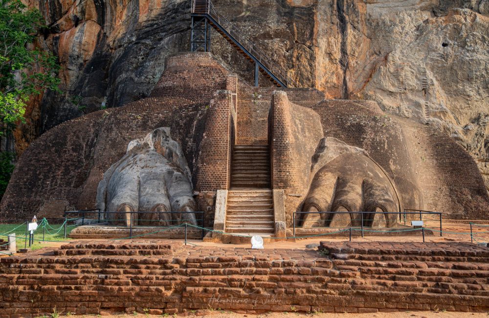 The+Lion's+Paws+of+Sigiriya